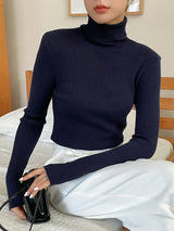 Basic Solid High Neck Long Sleeve Knit Sweater