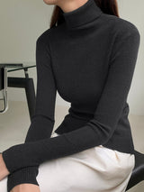 Basic Solid High Neck Long Sleeve Knit Sweater