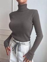 Basic Solid High Neck Long Sleeve Knit Sweater